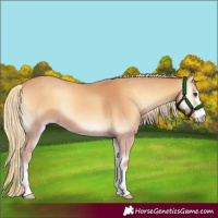 Horse Color:Red Onyx Mushroom