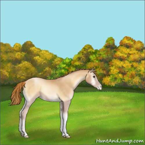 Horse Color:Red Onyx Pearl