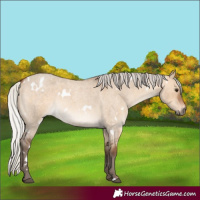Horse Color:White Spotted Silver Brown Roan Dun 