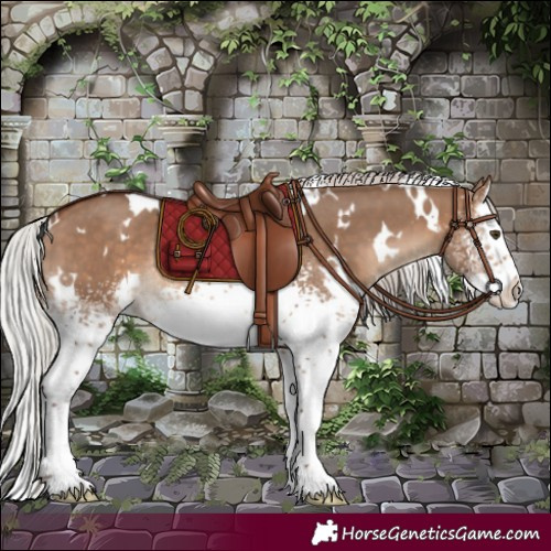 Horse Color:White Spotted Silver Bay Dun Splash Rabicano