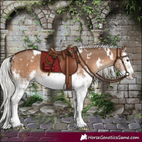 Horse Color:White Spotted Silver Bay Dun Splash Rabicano 