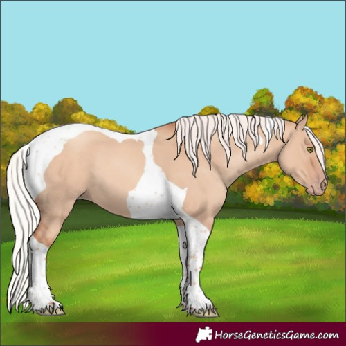 Horse Color:Silver Sable Champagne Dun Tobiano 