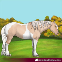 Horse Color:Silver Sable Champagne Dun Tobiano 