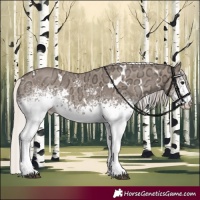 Horse Color:White Spotted Silver Grullo Ice 