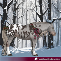 Horse Color:Liver Chestnut Tobiano Blanket Rabicano 