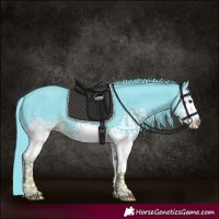 Horse Color:Watercolor White Spotted Liver Chestnut 