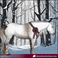 Horse Color:Gray Plaid  Chestnut 
