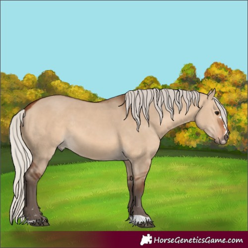 Horse Color:Silver Brown Dun 