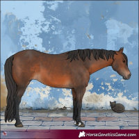 Horse Color:Brown 