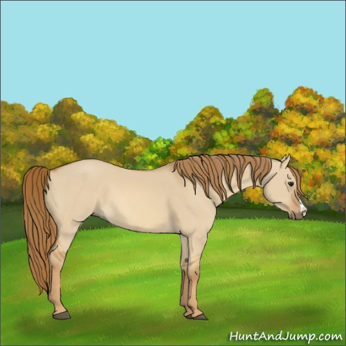 Horse Color:Red Dun 