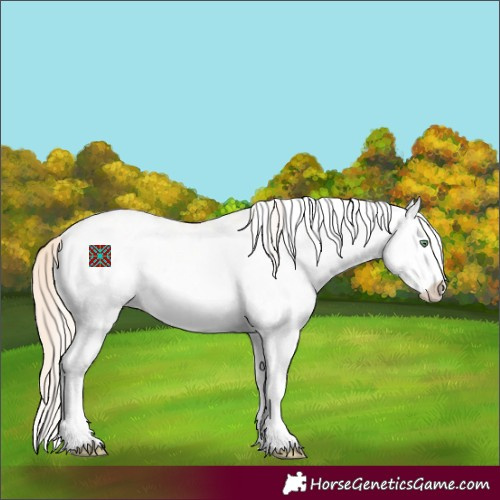 Horse Color:White Spotted Silver Sable Cream Champagne Dun Splash Appaloosa 