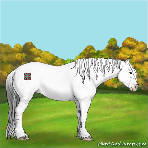 Horse Color:Brown Dun Sabino Splash Appaloosa 