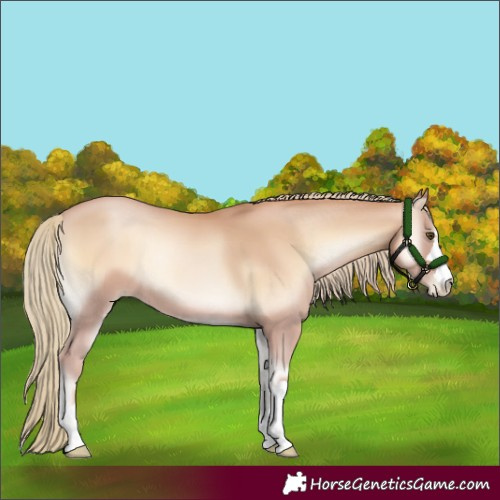 Horse Color:Red Onyx Pearl Mushroom