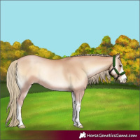 Horse Color:Red Onyx Pearl Mushroom 