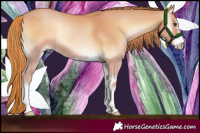 Horse Color:Red Onyx 