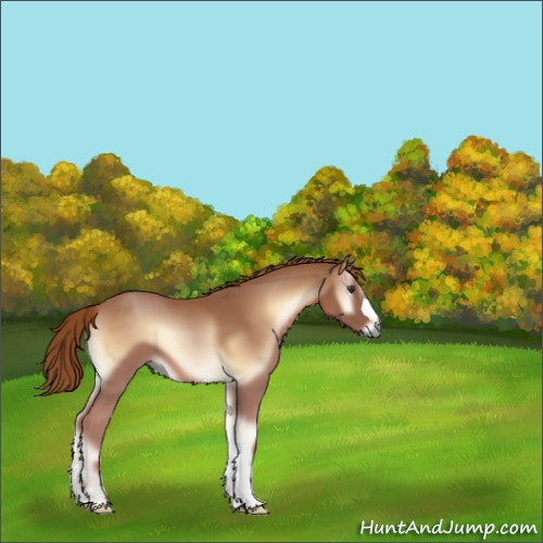 Horse Color:Red Onyx 
