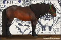 Horse Color:Gray Bay