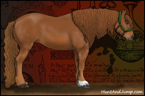 Horse Color:Gray Chestnut