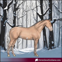 Horse Color:Silver Amber Champagne Frame 