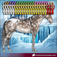 Horse Color:Brown Dun Mushroom Tobiano Appaloosa 