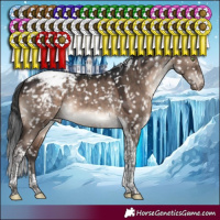 Horse Color:Brown Dun Mushroom Tobiano Appaloosa