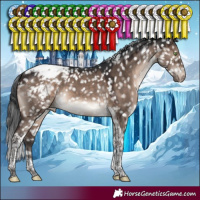 Horse Color:Brown Dun Mushroom Tobiano Appaloosa