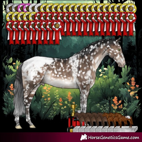 Horse Color:Brown Dun Mushroom Tobiano Appaloosa 