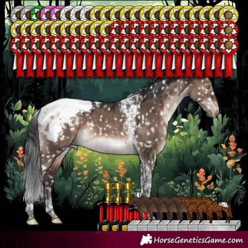 Horse Color:Brown Dun Mushroom Tobiano Snowcap