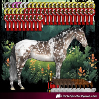 Horse Color:Brown Dun Mushroom Tobiano Appaloosa