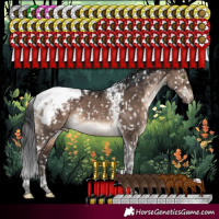 Horse Color:Brown Dun Mushroom Tobiano Appaloosa 