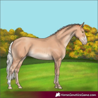 Horse Color:Silver Amber Champagne 