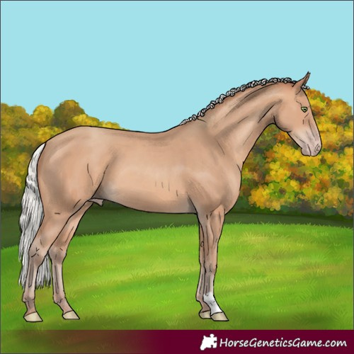 Horse Color:Silver Sable Champagne 
