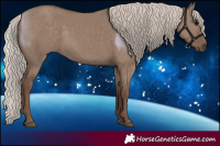 Horse Color:Silver Grullo