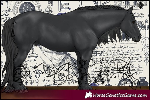 Horse Color:Black 