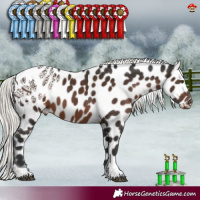 Horse Color:Liver Chestnut Mushroom Tobiano Appaloosa 