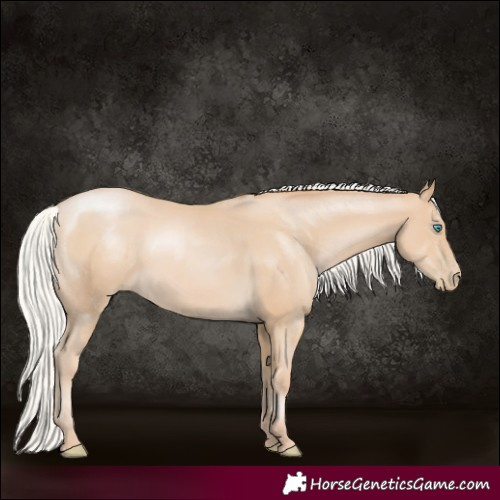 Horse Color:Silver Smoky Black Pearl 