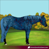 Horse Color:ERROR: UNKNOWN ANOMALY