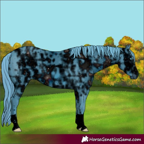 Horse Color:ERROR: UNKNOWN ANOMALY