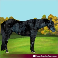 Horse Color:ERROR: UNKNOWN ANOMALY