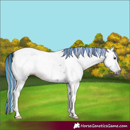 Horse Color:Gray Painted Brown Tobiano