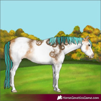 Horse Color:Painted White Spotted Buckskin Rabicano 