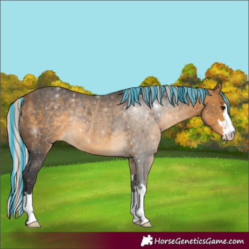Horse Color:Painted Silver Buckskin Rabicano 