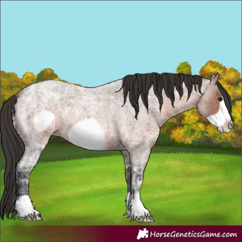Horse Color:Brown Ice Roan Frame 