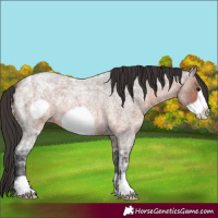 Horse Color:Brown Ice Roan Frame 