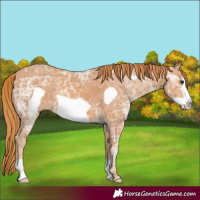 Horse Color:Chestnut Ice Frame