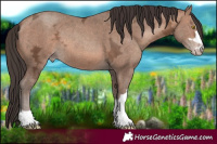 Horse Color:Sable Champagne Ice 