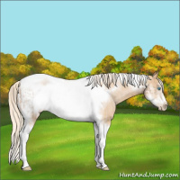 Horse Color:Chocolate Palomino Pearl Tobiano Frame  and Palomino Pearl Tobiano Frame 