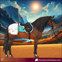 Horse Color:Brown Appaloosa 