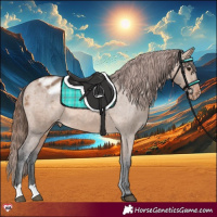 Horse Color:Bay Dun Appaloosa 