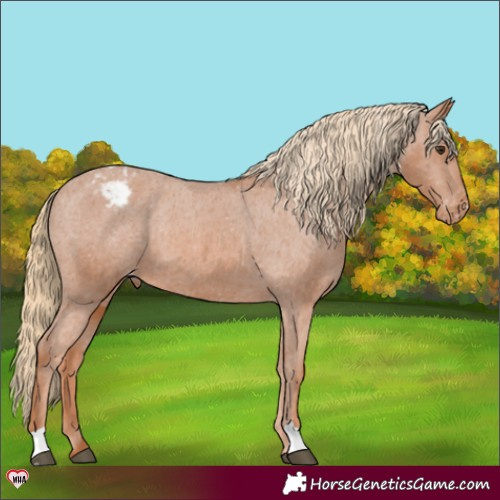 Horse Color:Chestnut Varnish 